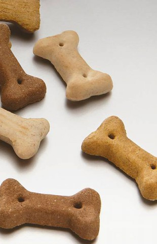 biscuit en os pour chien