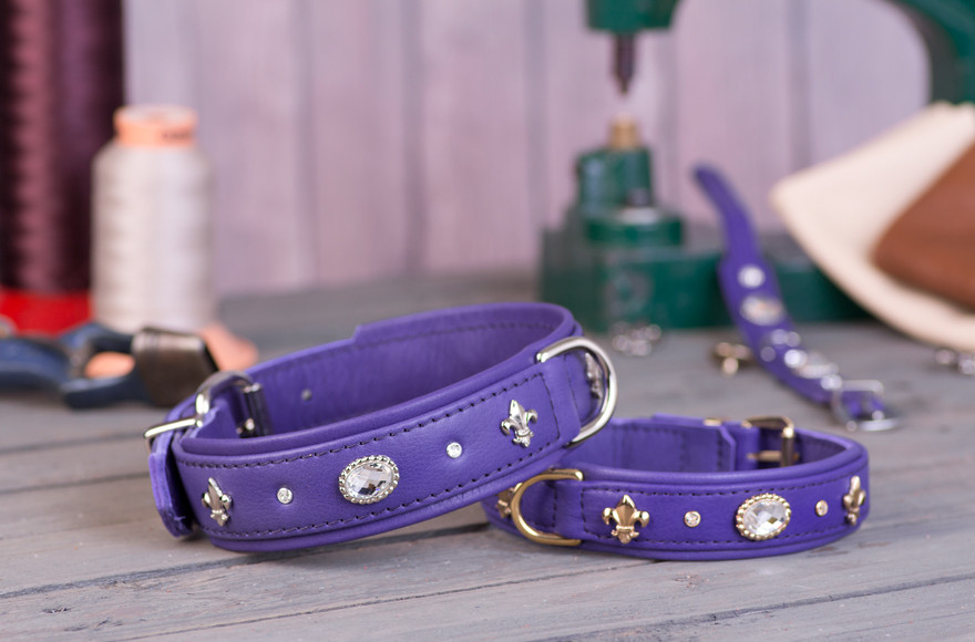 Collier cuir de luxe violet Animilo