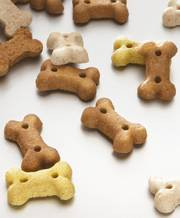 Biscuit friandise pour chien, mini os
