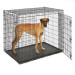 cage pliable métal noir géant pour chien de grandes races