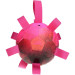 ballon Dog Comets hypernova rose